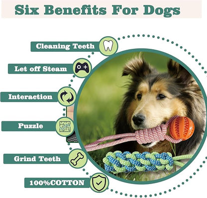 Interactive Dog Toys Tug of War Dog Toy for Small/Medium/Large Dogs,Teething Rope for Teeth Cleaning,Puzzle Ball for Chewing,Dog Bungee Tug Toy Kit, Blue