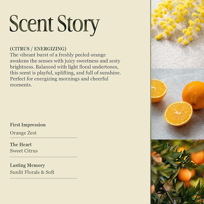 Scented Luxury Candles in Handmade Ceramic Jars, Soy Wax | Orange Blossom – Orange & Mimosa, Large Candle | Non Toxic, 2 Wicks, Reusable Big Orange Jar | Natural Spring Aromatherapy for Women & Men