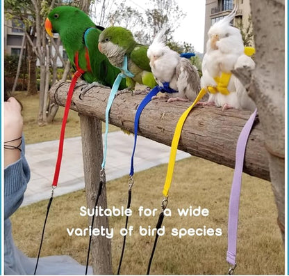 Adjustable Bird Harness with Elastic Leash, Pet Parrot Harness and Leash, Adjustable Training Design Anti-Bite, Bird Nylon Rope with Cute Wing for Conure (Red,Macaw)