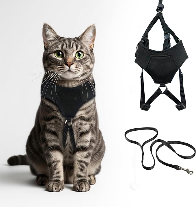A1HC Escape Proof Cat Harness and Leash - Soft Adjustable Vest, Comfortable Mesh and Long Strips with Air Tag Pocket, Easy Control, Safe Walking Harness for Cats & Kittens - Black (Medium)
