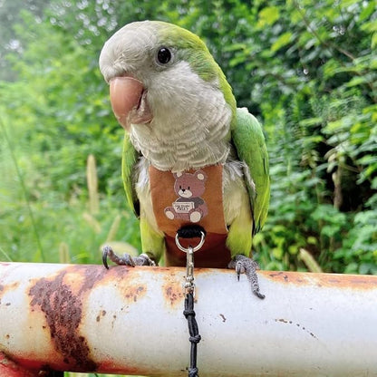 Bird Diaper Harness Flight Suit Clothes, Parrot Flight Suit with Leash for Parrot, Bird Flying Clothes with Rope and Handle for Outdoor Activities Training (Caique,Without Leash)