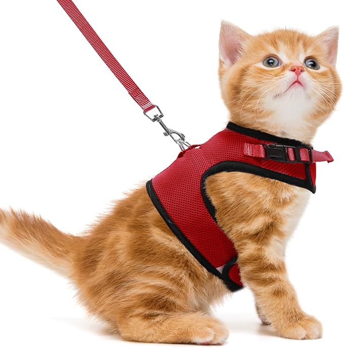 PUPTECK Soft Mesh Cat Vest Harness and Leash Set Puppy Padded Pet Harnesses Escape Proof for Cats Small Dogs, Red Medium