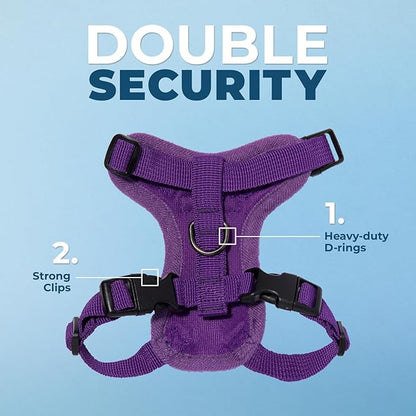 Voyager Step-in Lock Adjustable Cat Harness w. Cat Leash Combo Set with Neoprene Handle 5ft - Supports Small, Medium and Large Breed Cats by Best Pet Supplies - Purple, S