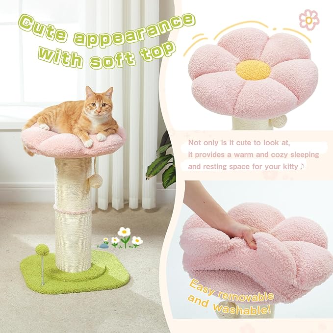 PEQULTI Flower Cat Scratching Post, Small Cat Tree, Scratcher for Indoor Cats with Super Thick Scratching Post [Dia=5.5''], Removable Flower Bed, Cat Scratch Post with Spring Ball, Pink