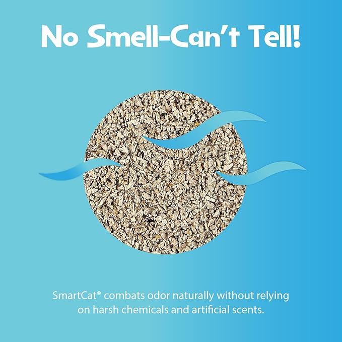 SmartCat All Natural Clumping Cat Litter, 10 Pound (160oz 1 Pack) - Alternative to Clay and Pellet Litter - Chemical and 99% Dust Free - Unscented and Lightweight