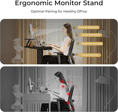 COMHOMA Electric Standing Desk with Drawers, 48 x 24'' Sit Stand up Desk with Monitor Stand, Laptop Stand, Height Adjustable Ergonomic Home Office Computer Desk with Memory Preset Controller (Black)