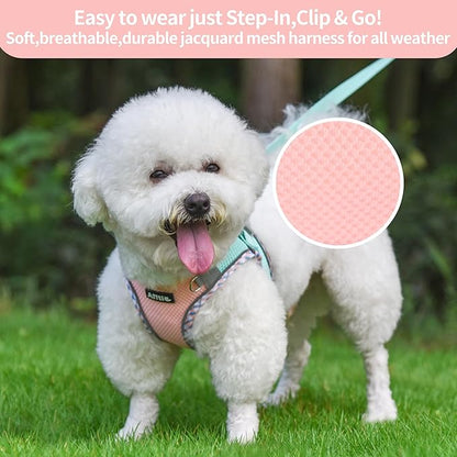 AIITLE Tiny Dog Harness - Lightweight Mesh Step-in Vest for Puppy, Reflective & Escape-Proof Design with High-Stick Magic Tape - Outdoor Use for Chihuahua, Maltese, Shih Tzu(Turquoise-Pink, XXXS)