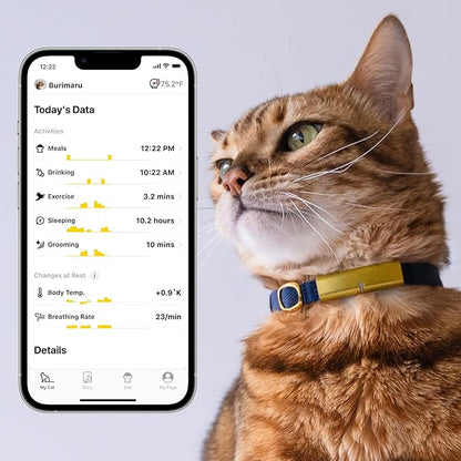 Health Tracker for Cats - Smart Cat Collar with Safety Breakaway Buckle for Indoor Cats, Wellness Alerts, Real-time Monitoring (Charcoal, S)