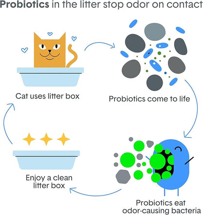 Boxie Probiotic Cat Litter, 40 Day Odor Control, Clumping Clay Kitty Litter, Odor Eliminating Probiotics, Dust-Free, No Fragrances No Fillers, 28 lb