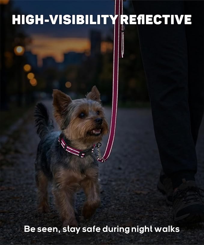 TagME Reflective Nylon Dog Collars, Adjustable Classic Pet Collar with Quick Release Buckle for Puppy, Hot Pink, 3/8" Width