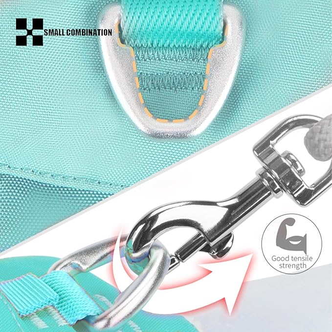 Lightweight Dog Harness, Large to Very Large Breeds, Adjustable Fit.Pet Harness with Pocket, Dog Training Harness for Outdoor Walking Running, Hiking (Aqua Green, XS)