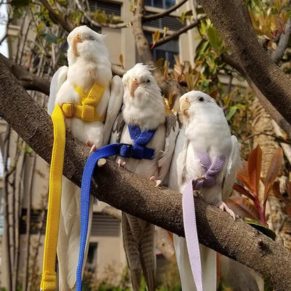 Adjustable Bird Harness with Elastic Leash, Pet Parrot Harness and Leash, Adjustable Training Design Anti-Bite, Bird Nylon Rope with Cute Wing for Conure (Black,2M)