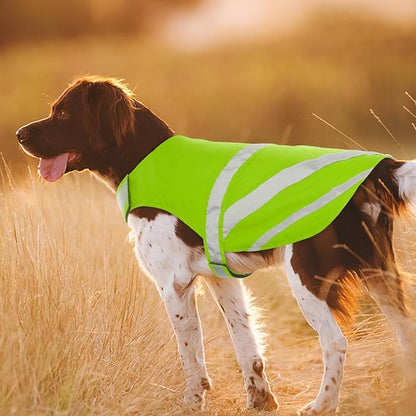 Kuoser Reflective Dog Vest, High Visibility Safety Vest for Medium to Large Dogs, Lightweight Pet Reflective Vests for Hunting Outdoor Activities Walking at Night, Fluorescent Green 2XL