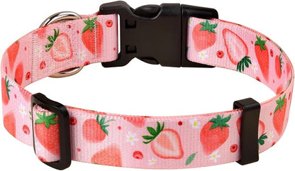MarukoPet Dog Collar and Leash Set, Adjustable for Small Medium Large Dogs Puppy, Cute Design with Bohemia Floral Tribal Geometric Patterns Boys Girls Dog Collar(Strawberry Set,XS)