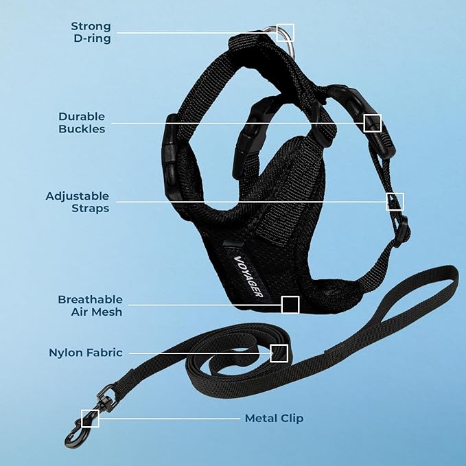 Voyager Step-in Lock Adjustable Cat Harness w. Cat Leash Combo Set with Neoprene Handle 5ft - Supports Small, Medium and Large Breed Cats by Best Pet Supplies - Black, XXS