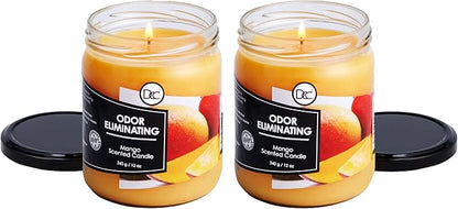 Mango Two Pack Odor Eliminating Highly Fragranced Candle - Eliminates 95% of Pet, Smoke, Food, and Other Smells Quickly - Up to 80 Hour Burn time - 12 Ounce Premium Soy Blend