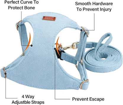 No Pull Dog Harness- Lightweight, Soft, Adjustable Small Harness Collar and Leash Set, Suitable for Cats Puppy Small and Medium-Sized Dog Outdoor Training and Running (Blue, M)