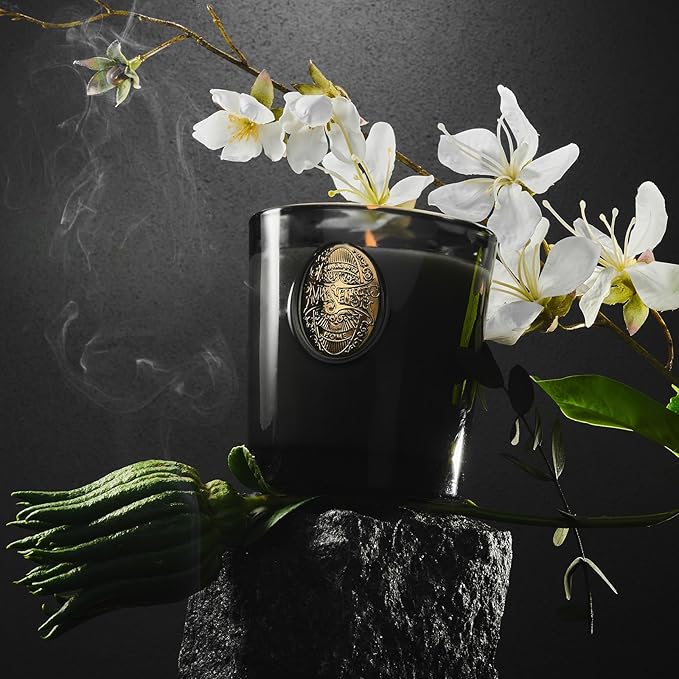 M&SENSE Natural Soy Candle | Crisp Chill & Black | 9.2 oz, 50H Burn Time | Luxury Scented Candle for Him,for Relaxation, Gifting, Home Décor | Ideal for Bedroom, Office, Party Ambiance