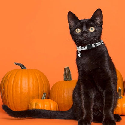 PUPTECK Halloween Cat Collar with Bell 6 Packs Breakaway - Soft Adjustable Kitten Kitty Collars for Small Pet Puppy Bunny with Safety Release Buckle