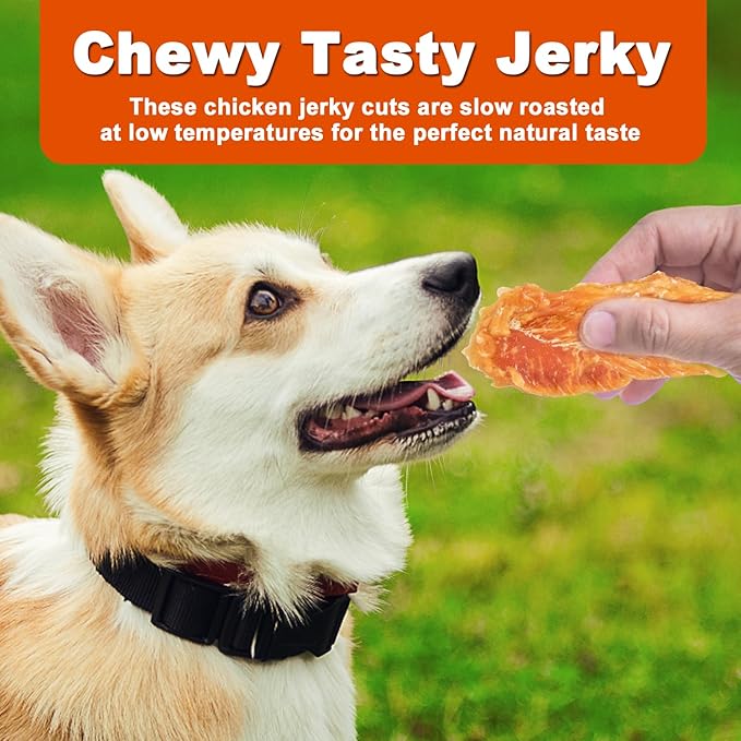 Amzey Chicken Jerky Dog Treats 24 OZ, 4 Resealable Bags, Real Chicken, Grain Free High Protein, Dental Health Support Dog Snacks, for Large & Small Dogs, Canine Chews
