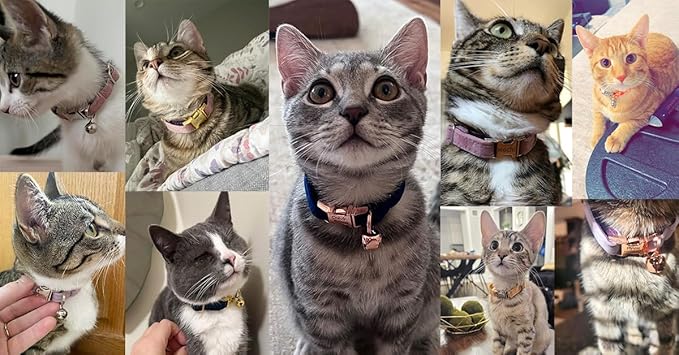 Personalized Cat Collar with Bells,Velvet Customized Small Cat Collar with Name Tag,Pet Collar with Name Phone Number Engraved ID Tags for Boy and Girl Kitten Cats (Grey)