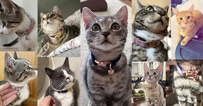 Personalized Cat Collar with Bells,Velvet Customized Small Cat Collar with Name Tag,Pet Collar with Name Phone Number Engraved ID Tags for Boy and Girl Kitten Cats (Camel Color)