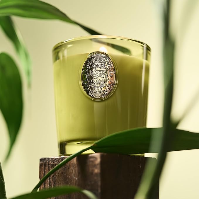 M&SENSE Natural Fresh Soy Candle | White Tea Sage & Matcha Green | 9.2 oz, 50H Burn Time | Luxury Scented Candle for Relaxation, Gifting, Home Décor | Ideal for Bedroom, Office, Party Ambiance