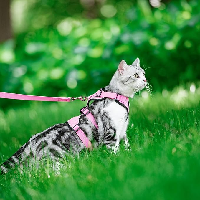 PUPTECK Cat Harness and Leash Set Escape Proof for Walking, Breathable Mash Vest Adjustable Harness for Cats Puppy Small Animals, Reflective at Night, Pink Small