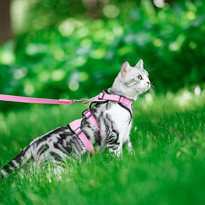 PUPTECK Cat Harness and Leash Set Escape Proof for Walking, Breathable Mash Vest Adjustable Harness for Cats Puppy Small Animals, Reflective at Night, Pink Medium