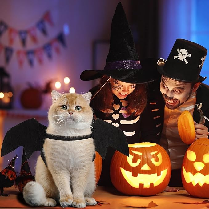 Glow in The Dark Bat Wings Pet Costume, Cat Bat Wings for Halloween Party Decoration, Light Up Pet Collar Leads Cosplay Bat Costume, Cute Puppy Cat Dog Dress Up Accessories ﻿