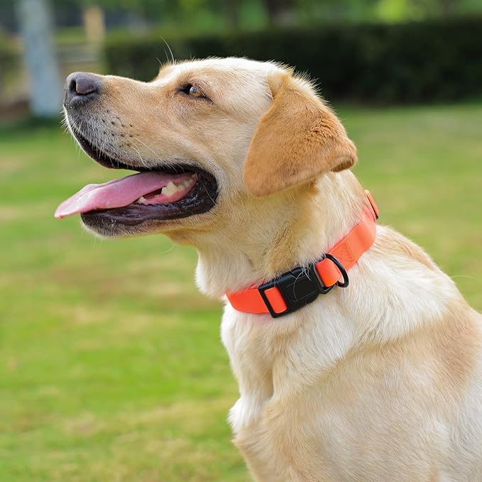 Waterproof Dog Collar, Easy to Clean Rubber Dog Collars with Quick Release Buckle Fits Small Medium or Large Dogs (Orange, M < 11.8-18.5 inch)
