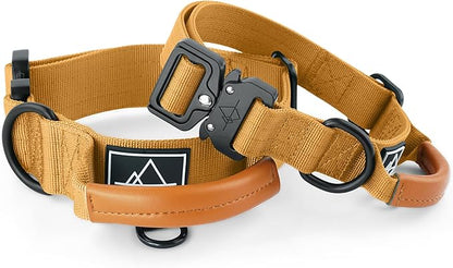 Made to ROAM Premium Explorer Control Collar - Adjustable Heavy Duty Nylon Dog Collar with Quick-Release Metal Buckle and Handle (Michigan Autumn, Control Size 5)