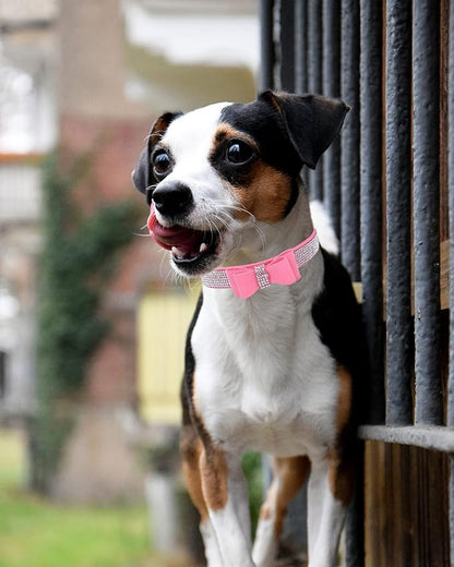 Bling Dog Collar for Small Medium Large Dogs, Crown Rhinestone Dog Collars for Girl and boy Dog, Diamond Puppy Collars, Adjustable Leather Suede SOFE Cat Collar (M(13"-15.4"/33CM-39CM), Pink3)