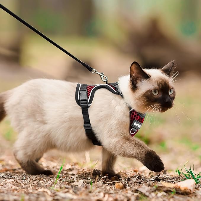 at Harness and Leash for Walking Escape Proof Soft Adjustable Cat Leash Breathable Honeycomb Structure Comfortable Vest Easy to Wear Kitten Harness for Outdoor Travel, Honeycomb Red, M