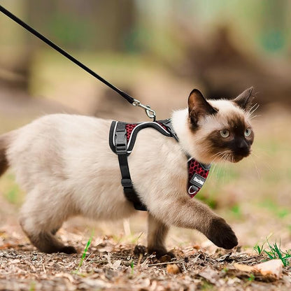 at Harness and Leash for Walking Escape Proof Soft Adjustable Cat Leash Breathable Honeycomb Structure Comfortable Vest Easy to Wear Kitten Harness for Outdoor Travel, Honeycomb Red, M