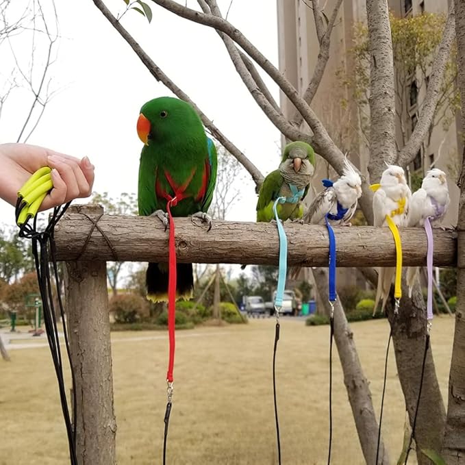 Adjustable Bird Harness with Elastic Leash, Pet Parrot Harness and Leash, Adjustable Training Design Anti-Bite, Bird Nylon Rope with Cute Wing for Conure (Green,Sulphur-Crested Cockatoo)