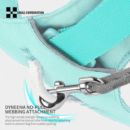 Lightweight Dog Harness, Large to Very Large Breeds, Adjustable Fit.Pet Harness with Pocket, Dog Training Harness for Outdoor Walking Running, Hiking (Aqua Green, XS)
