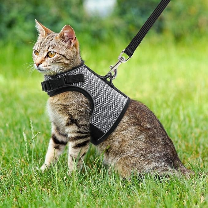 PUPTECK Soft Mesh Cat Vest Harness and Leash Set Puppy Padded Pet Harnesses Escape Proof for Cats Small Dogs Rabbits Bunny