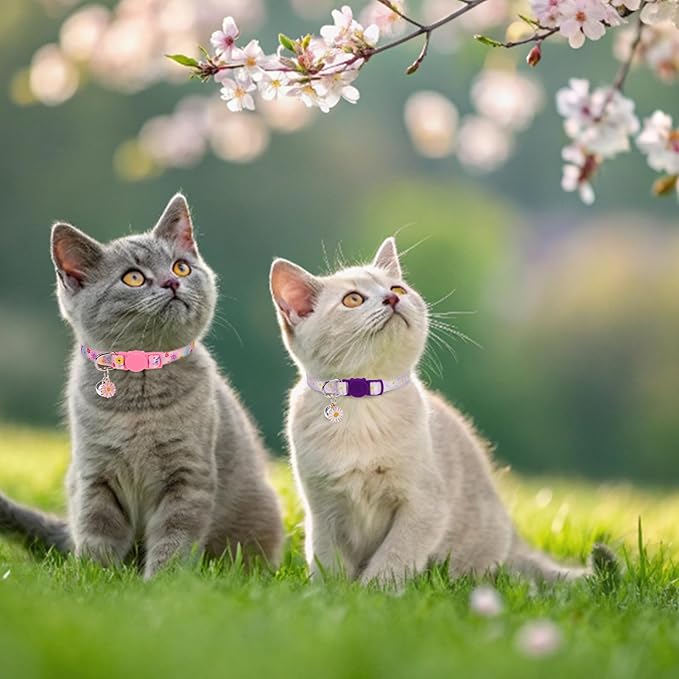 Breakaway Cat Collar with Bells, 3 Pack Summer Spring Cat Collar for Girl Boy Cats, Cute Pink Purple Yellow Flower Kitten Collars with Safety Buckle, Adjustable 8"-12" for Puppy Small Pets