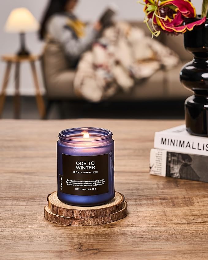 M&SENSE Ode to Winter Scented Candle for Home Natural Soy Wax Non Toxic Cotton Wick Winter Scent, 7.05oz Up to 50 Hours Burn Time Gifts for Christmas Holiday