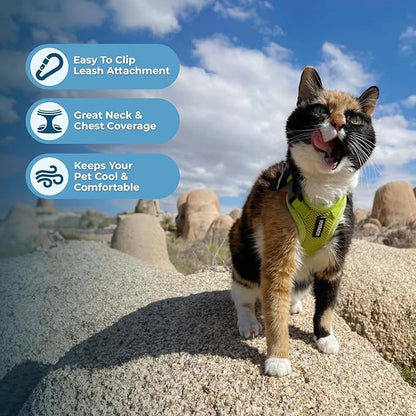 Voyager Step-in Lock Adjustable Cat Harness w. Cat Leash Combo Set with Neoprene Handle 5ft - Supports Small, Medium and Large Breed Cats by Best Pet Supplies - Lime Green, XXXS