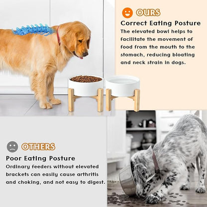 SPUNKYJUNKY Ceramic Elevated Dog Bowls 2 Pack - 6.1inch Raised Dog Bowls with Non-Slip Wooden Stand for Medium Dogs Dishwasher Safe(White,28.7OZ*2)