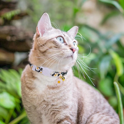 3 Pack Breakaway Cat Collars with Bell- Flower Pendant Spring Cat Collar for Girl Boy Cats with Safety Buckle- Cute Kitten Collar Adjustable 8"-12" for Kitty Puppy Small Pets