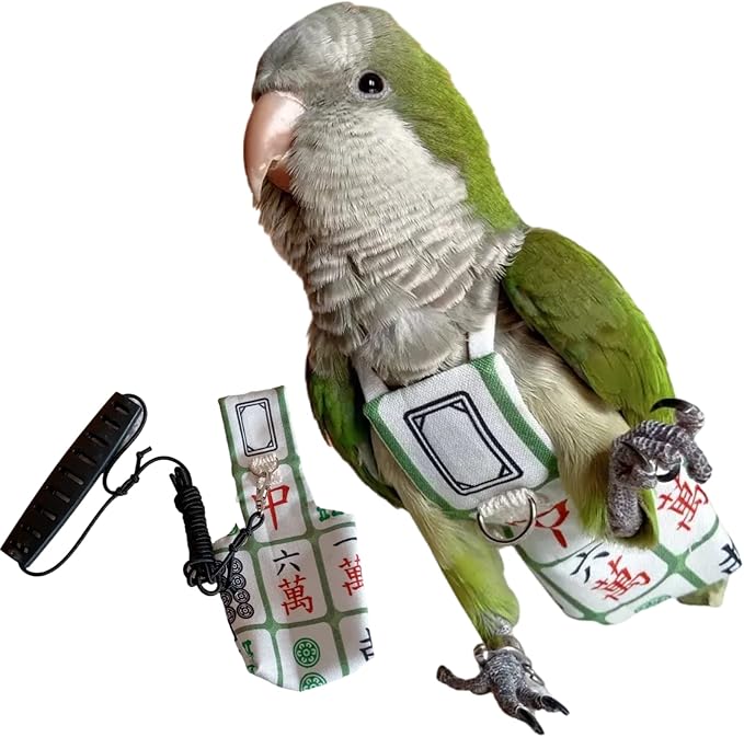 Bird Diaper Harness Flight Suit Clothes, Parrot Flight Suit with Leash for Parrot, Bird Flying Clothes with Rope and Handle for Outdoor Activities Training (with Leash,Lovebird)