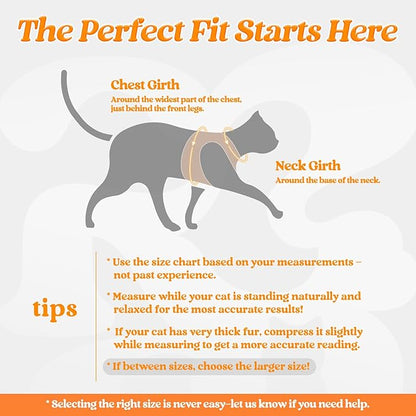 rabbitgoo Cat Harness and Leash Set for Walking Escape Proof, Adjustable Soft Kittens Vest with Reflective Strip for Cats, Comfortable Outdoor Vest,Light Orange,M