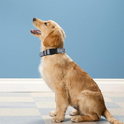 Reflective Dog Collar, Adjustable Soft Neoprene Padded Nylon Pet Collars with Buckle for Puppy and Small Dogs, Cats, Gray,XS