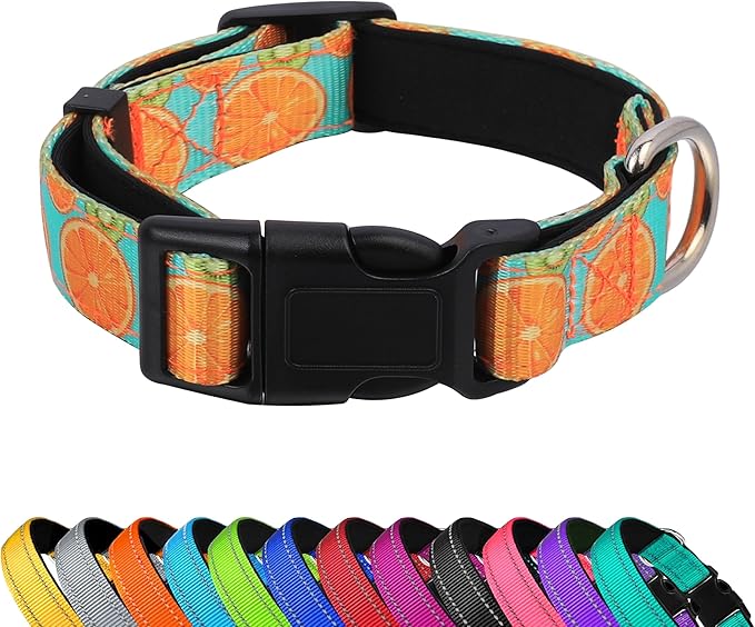 Reflective Dog Collar, Adjustable Soft Neoprene Padded Nylon Pet Collars with Buckle for Puppy and Small Dogs, Cats, Summer Lemon,XL