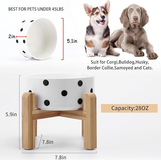 Petygooing 28 OZ Elevated/Raised Ceramic Dog Bowl for Small Medium Breeds, Dog Food Water Dish with Stand,Pet Bowl with Anti Slip Rubber for Cats Small and Medium Dogs (3.6 Cups) Black Dot