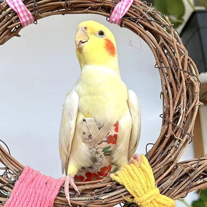 Bird Flight Suits and Diapers - Parrot Flight Suits for Monk Parakeet Parakeets, Cockatiels - Comfortable Parrot Clothes(Yellow,XL)(Almond,Large)