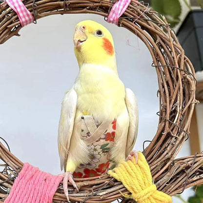 Bird Flight Suits and Diapers - Parrot Flight Suits for Monk Parakeet Parakeets, Cockatiels - Comfortable Parrot Clothes(Yellow,XL)(Almond,Large)